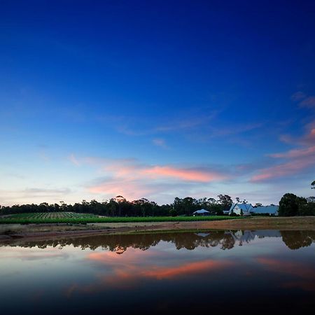 Balgownie Estate Bendigo Bed and Breakfast Buitenkant foto