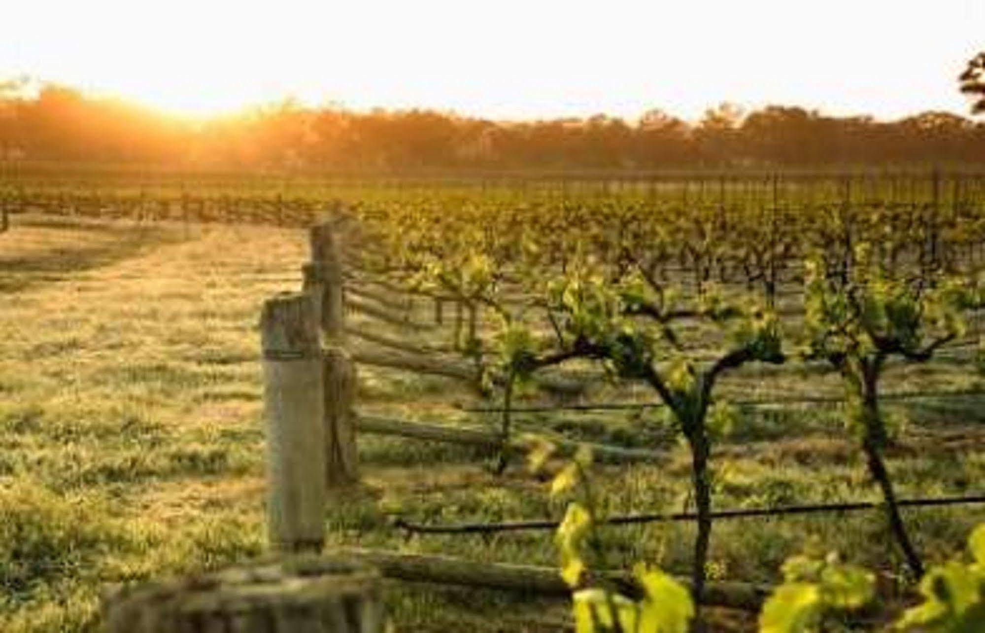 Balgownie Estate Bendigo Bed and Breakfast Buitenkant foto